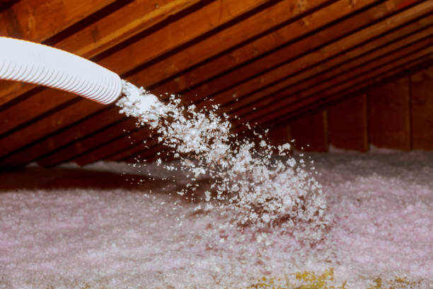 Best DIY Insulation Kits and Guidance in Webb City, MO
