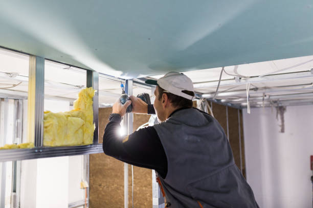 Best Insulation Maintenance and Repair in Webb City, MO