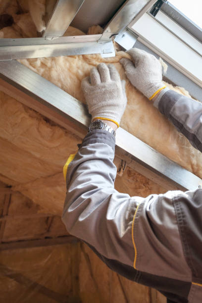 Best Specialized Insulation Services in Webb City, MO