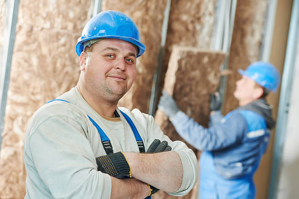 Best Fiberglass Insulation in Webb City, MO
