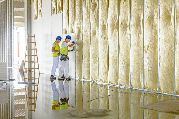 Professional Insulation Contractor in Webb City, MO